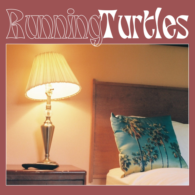 Couverture de Running Turtles