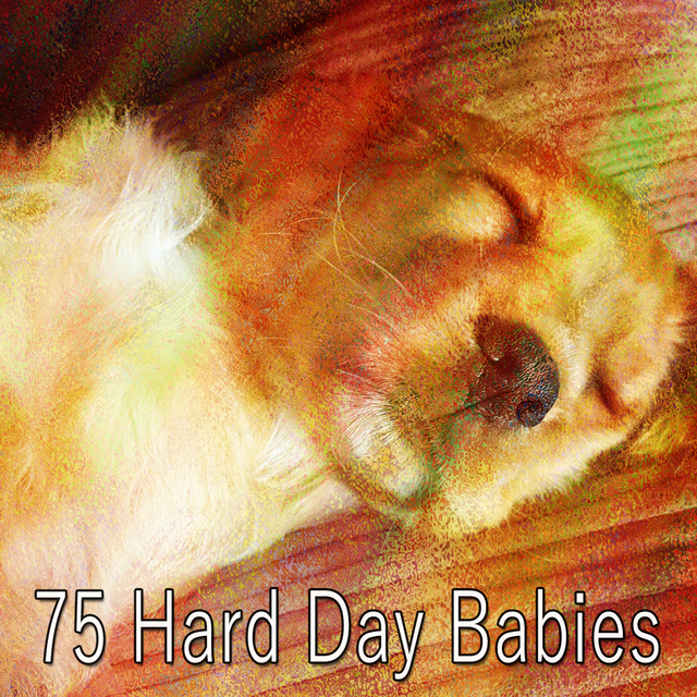 Couverture de 75 Hard Day Babies