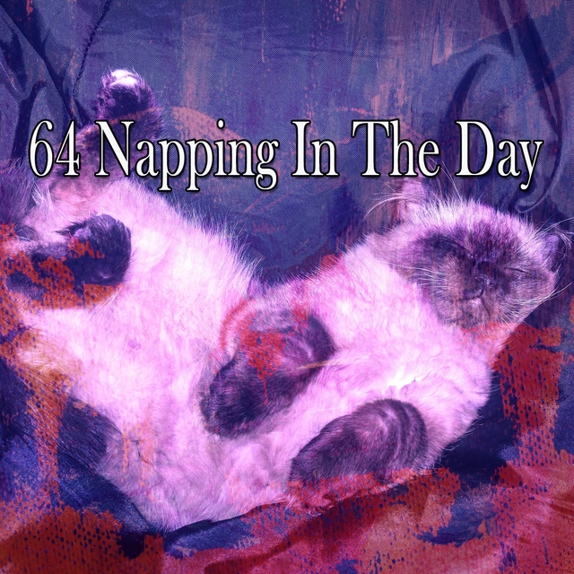 Couverture de 64 Napping In The Day