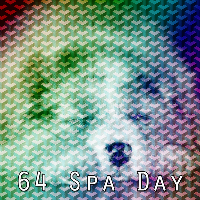 64 Spa Day