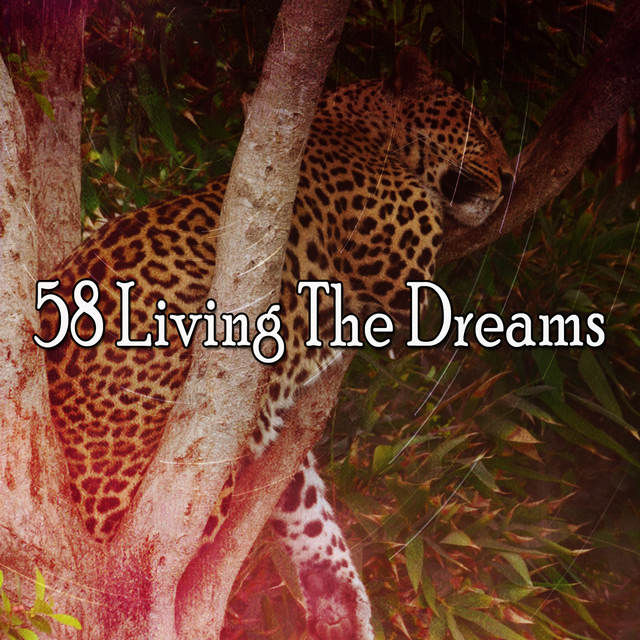 Couverture de 58 Living The Dreams