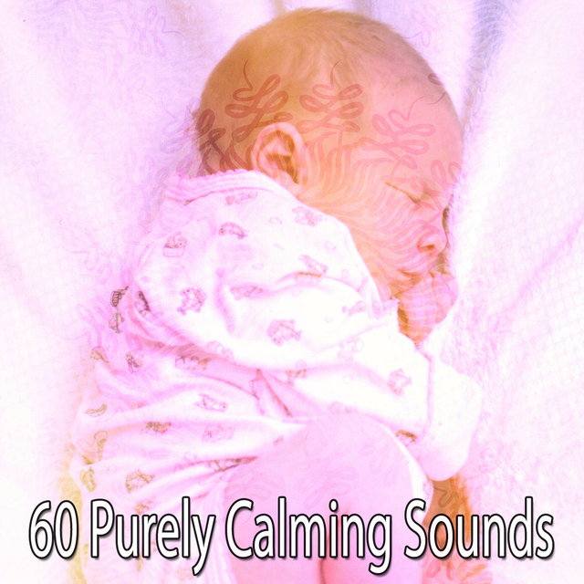 Couverture de 60 Purely Calming Sounds