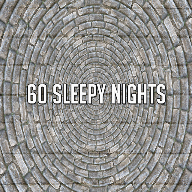 Couverture de 60 Sleepy Nights