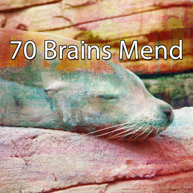 Couverture de 70 Brains Mend
