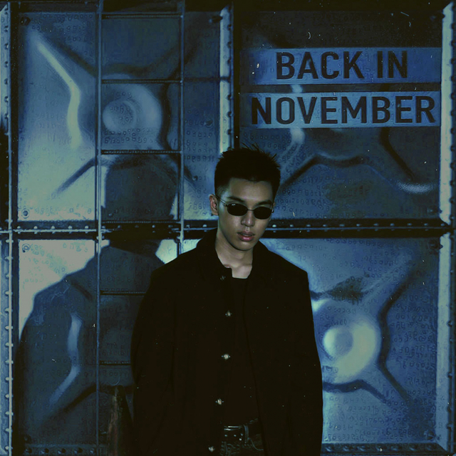 Couverture de Back In November