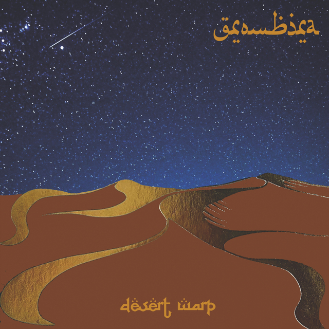 Couverture de Desert Warp