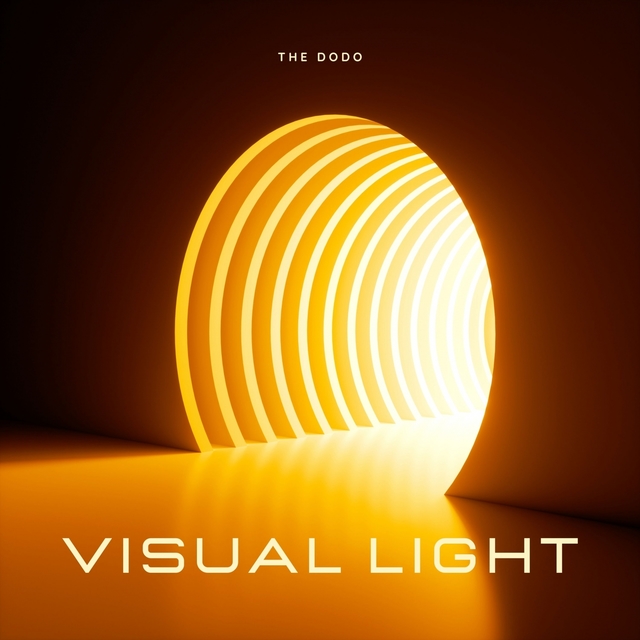 Couverture de Visual light