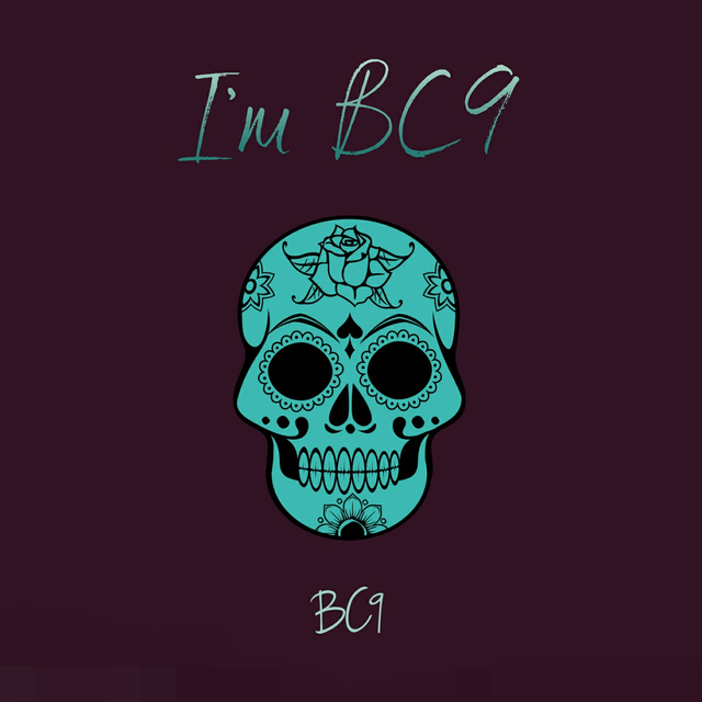 Couverture de Im BC9