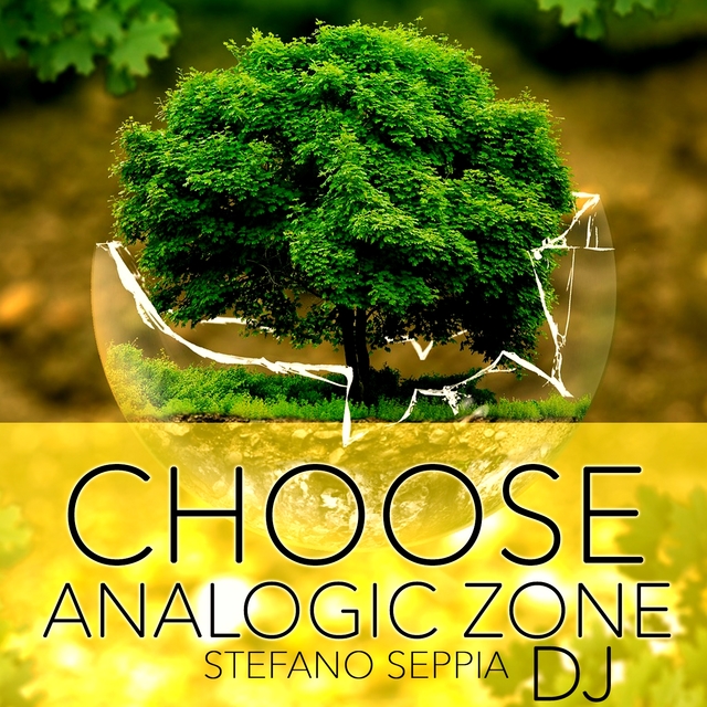 Couverture de CHOOSE ANALOGIC ZONE