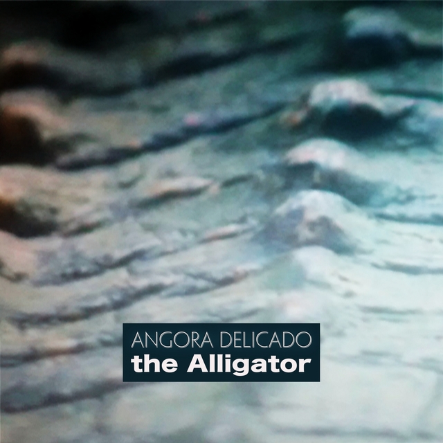 Couverture de The Alligator