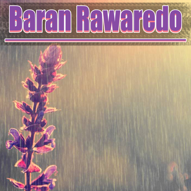 Couverture de Baran Rawaredo