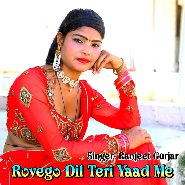 Couverture de Rovego Dil Teri Yad Me