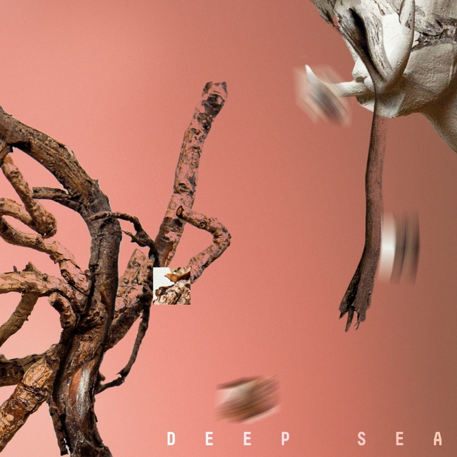 Couverture de Deep Sea