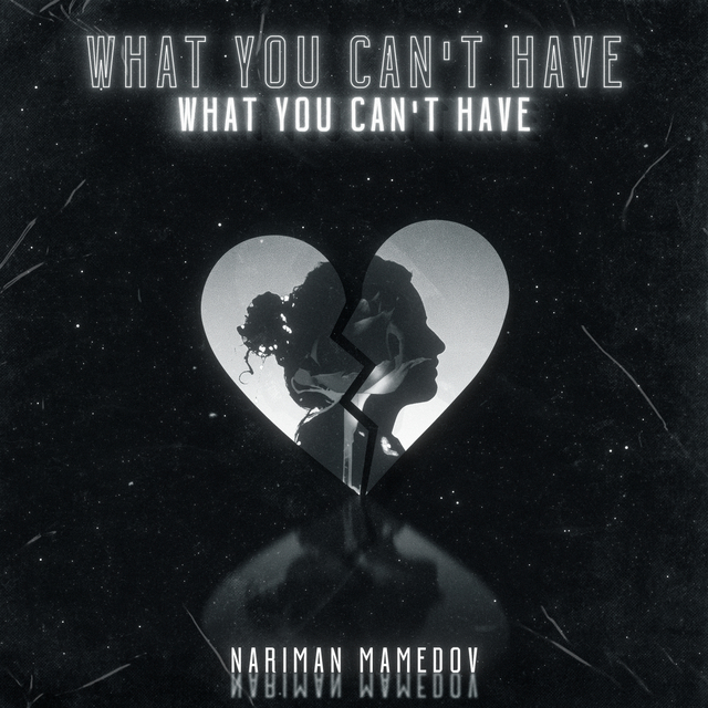 Couverture de What You Can't Have