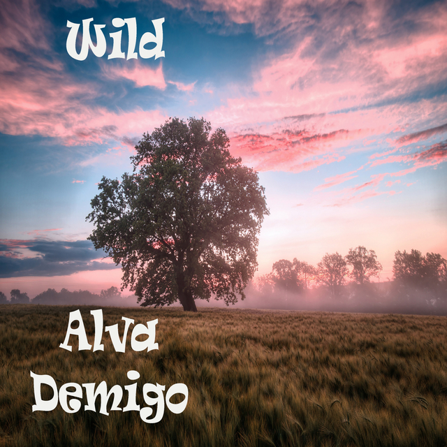 Couverture de Wild