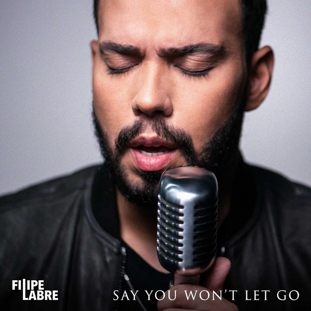 Couverture de Say You Won't Let Go