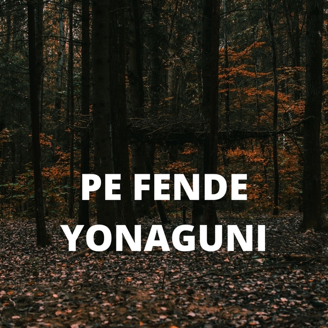 Couverture de YONAGUNI