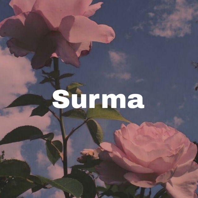 Couverture de Surma