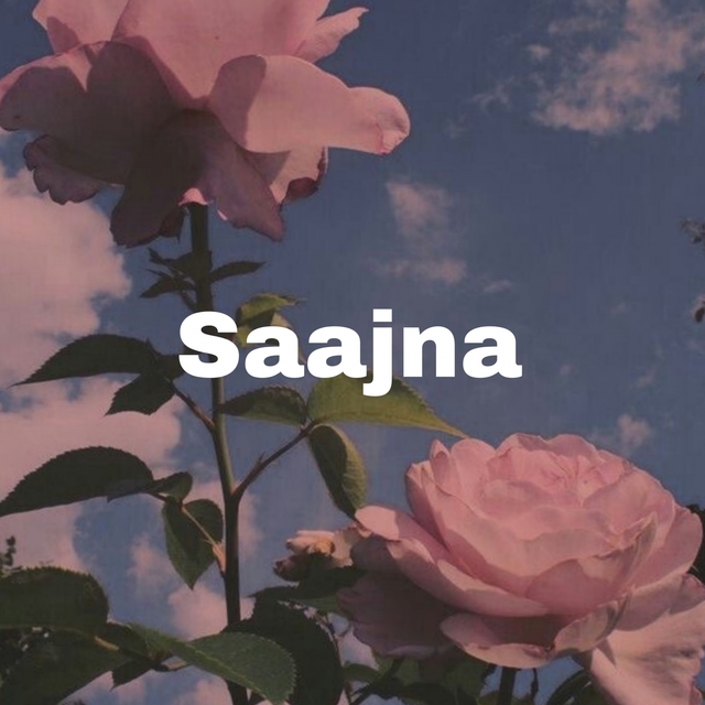 Saajna