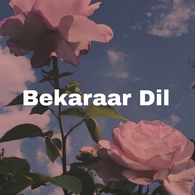 Couverture de Bekaraar dil