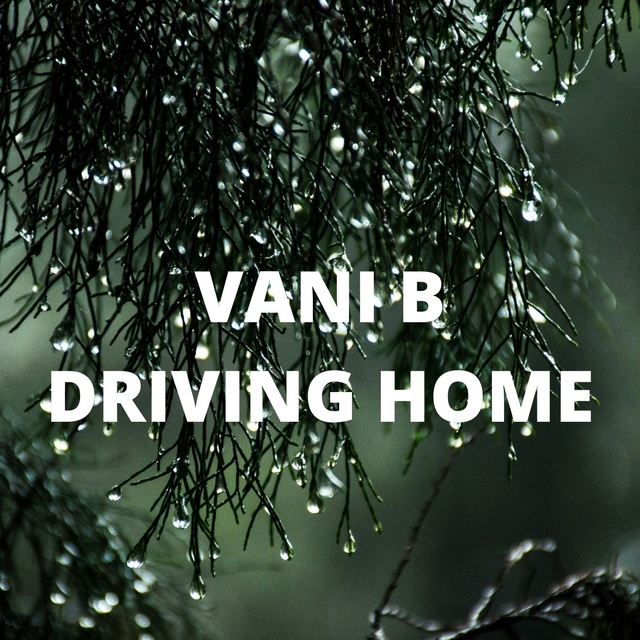 Couverture de DRIVING HOME