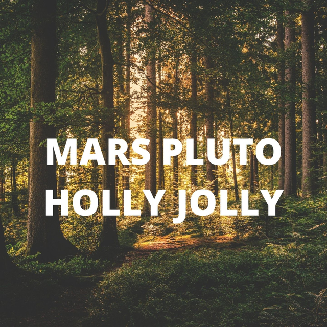 Couverture de HOLLY JOLLY