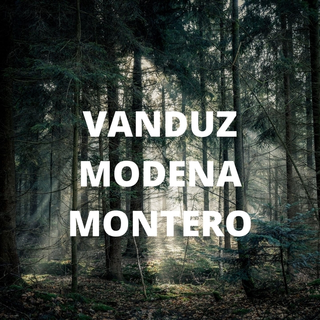 Couverture de MONTERO