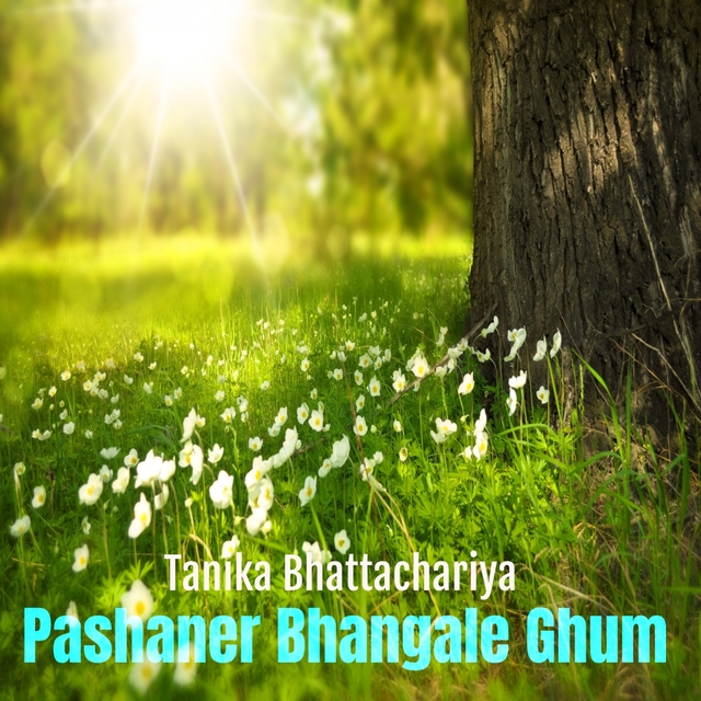 Couverture de Pashaner Bhangale Ghum