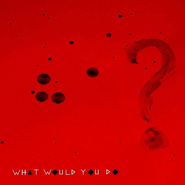 Couverture de What Would You Do