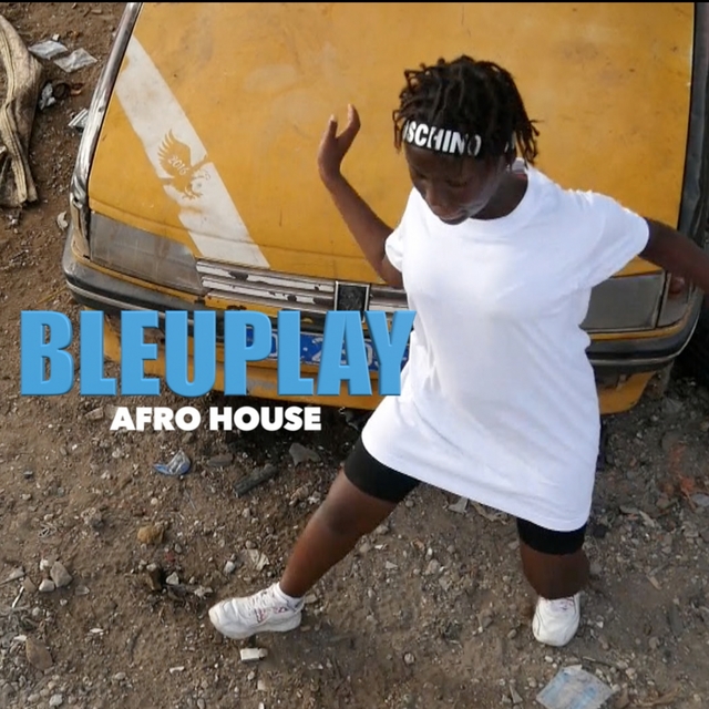 Couverture de Afro House