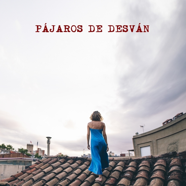 Couverture de Pájaros de Desván