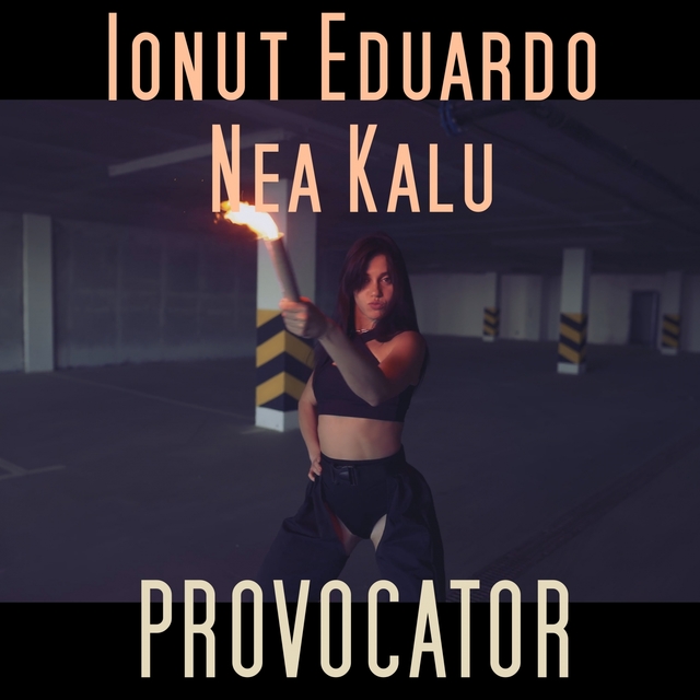 Provocator