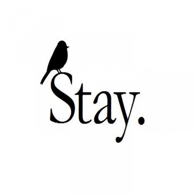 Couverture de Stay