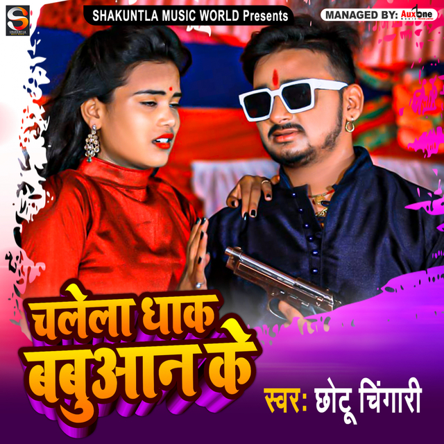 Couverture de Chalela Dhak Babuaan Ke