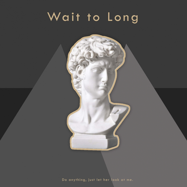 Couverture de Wait to long