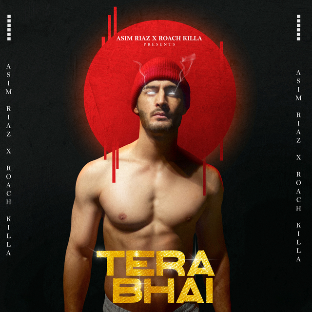 Couverture de Tera Bhai