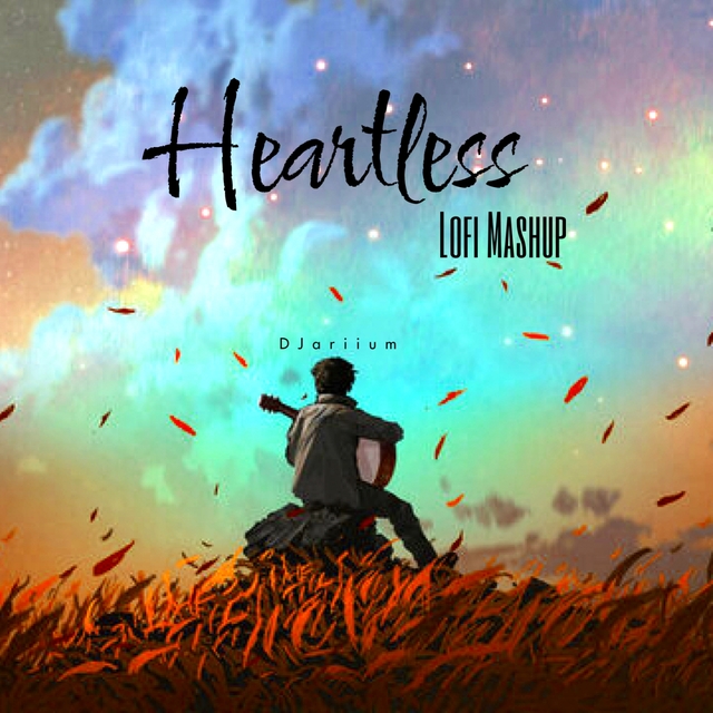 Couverture de Heartless LoFi Mashup