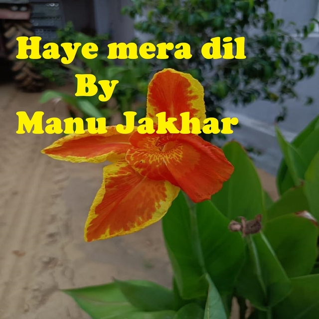 Couverture de Haye mera dil