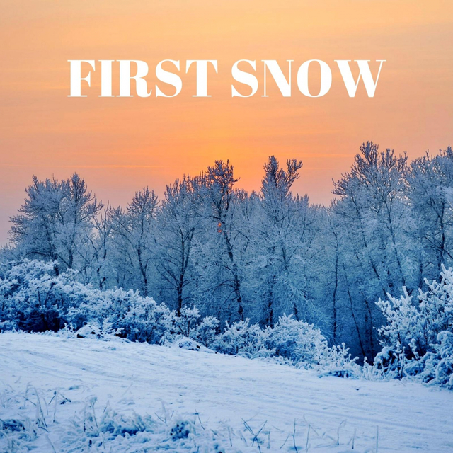 Couverture de First Snow