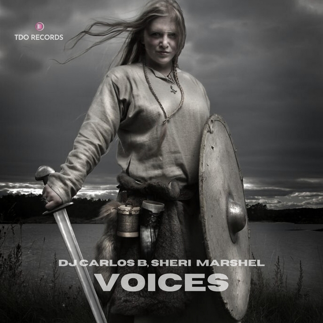 Couverture de Voices