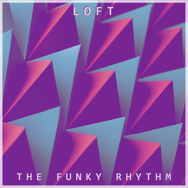 Couverture de The Funky Rhythm