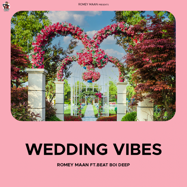 Couverture de Wedding Vibes