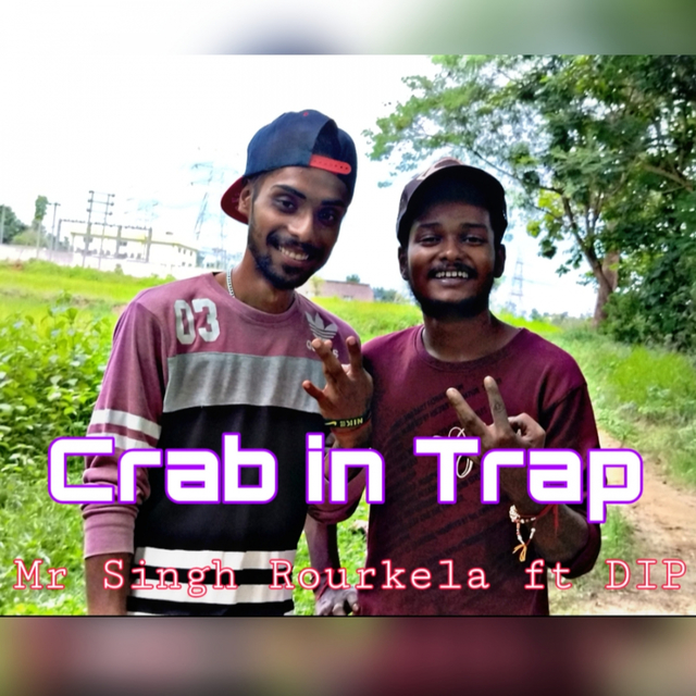 Couverture de Crab in Trap