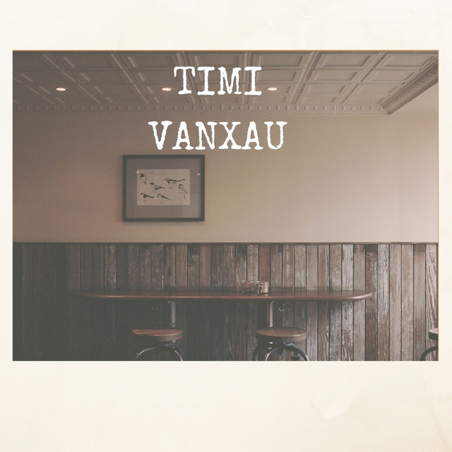 Couverture de Timi Vanxau