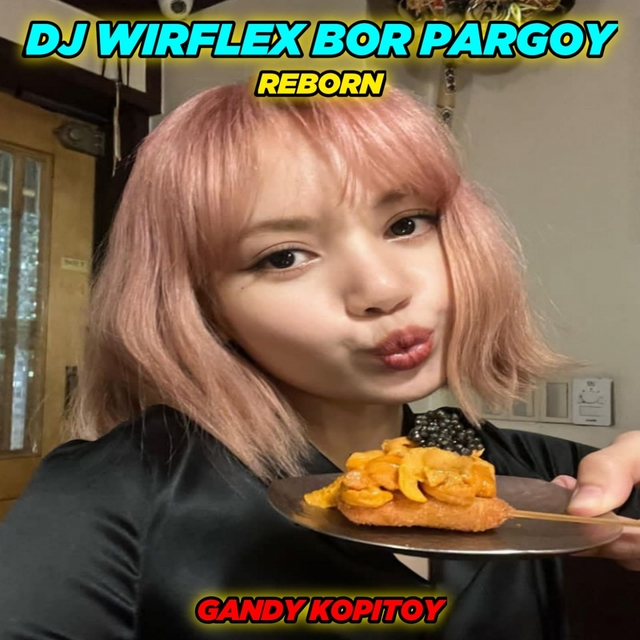 Couverture de DJ Wirflex Bor x Pargoy Reborn