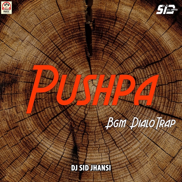 Couverture de Pushpa BGM Dialo Trap