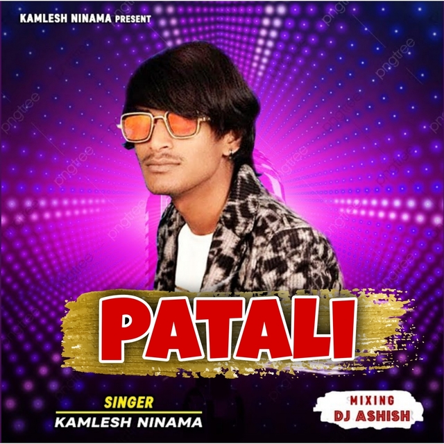 Couverture de Patali