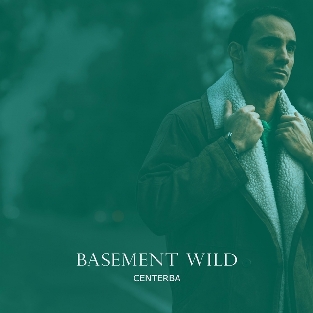 Couverture de Basement Wild