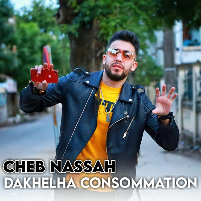 Couverture de Dakhelha consommation