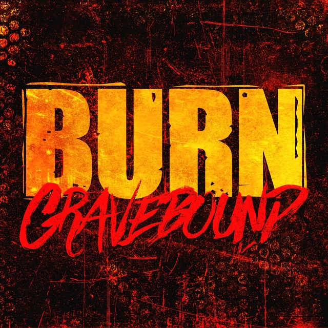 Couverture de Burn